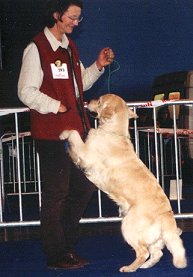 Arras 2002