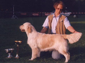 BIS Dampierre 2000