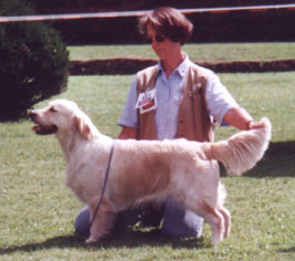 BIS Dampierre 2000
