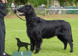 CACS at the French Club Show 2001