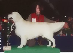 Rossmix No Regrets BIS Poitiers 2001