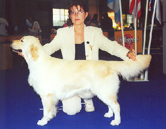 Oriel of Glen Sheallag